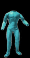 3 pc. bodysuit