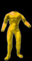 2 pc. bodysuit