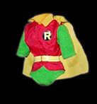 robin costume
